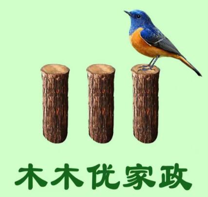 上海木木优高端家政常年提供大量专业的月嫂阿姨